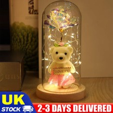 Eternal Forever Galaxy Rose