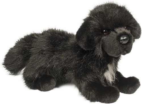Douglas bundy newfoundland dog - douglas,