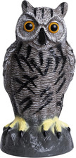 Owl Decoy to Scare Birds Away
