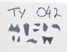 TYRANID 10x RANDOM BITS GAMES