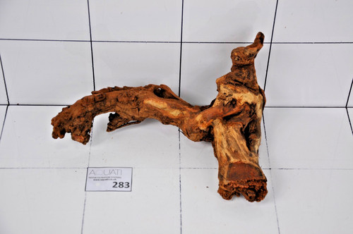 Premium aquarium natural - aquarium,