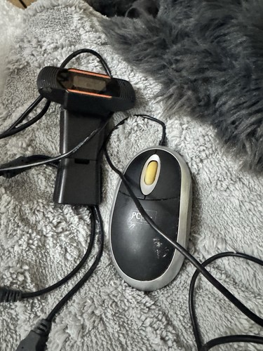 Old mouse and webcam - old,