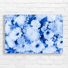 White Chrysanthemum Flowers