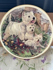 Decorative collector's plate