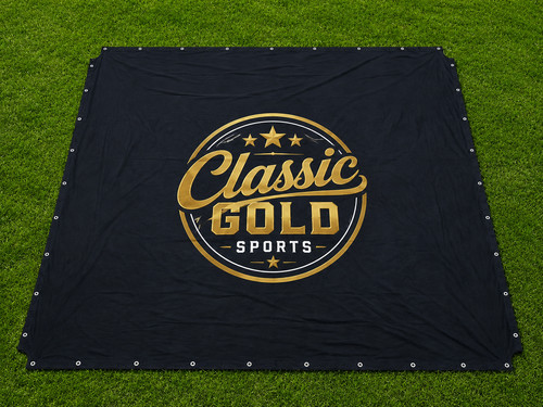 Professional boxing ring - professional,