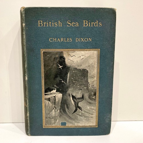 British sea birds charles - sea,