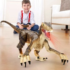 Remote Control Dinosaur Toys