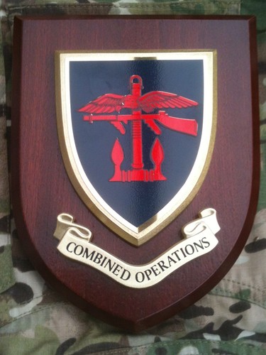 Combined operations military - combined,