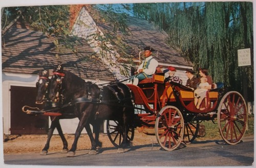Vintage postcard horses - vintage,