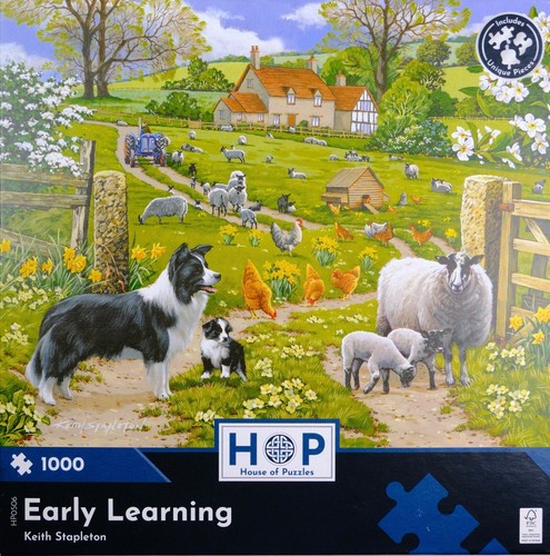 House puzzles early - puzzles,