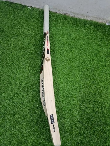 Player edition cricket bat - player,