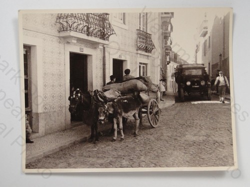 Brazil street scene donkey - brazil,