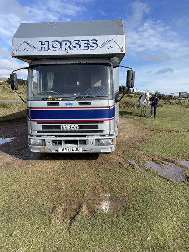 Ford iveco tonne horse - iveco,
