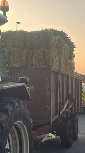 Small square hay bales - square,