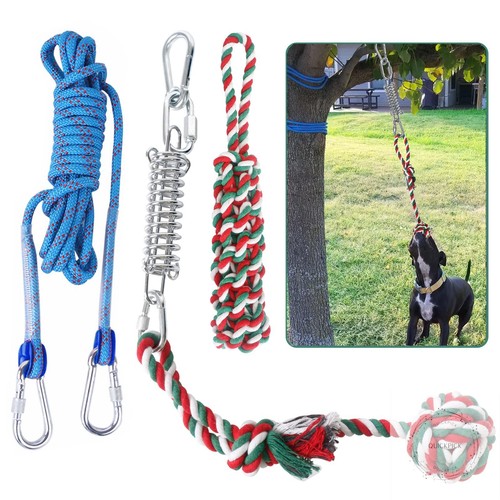 Dog outdoor bungee hanging - dog,