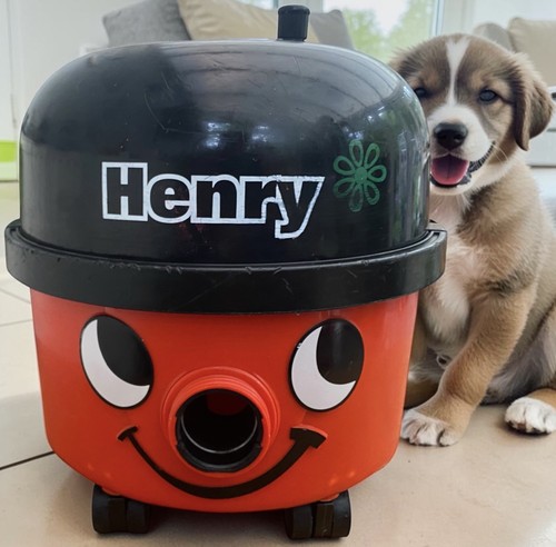 Henry hoover vac inc - vac, inc’s