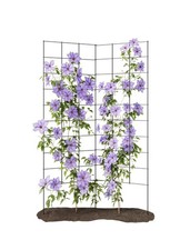 2-Panel Folding Garden Trellis