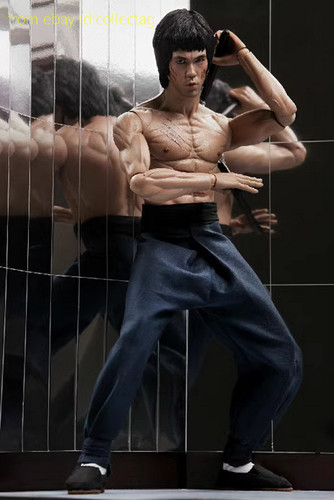 Hottoys dx04 bruce - hottoys, lee