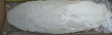 1 X MEDIUM CUTTLEFISH BONE