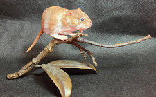 Unique Royal Albany Worcester