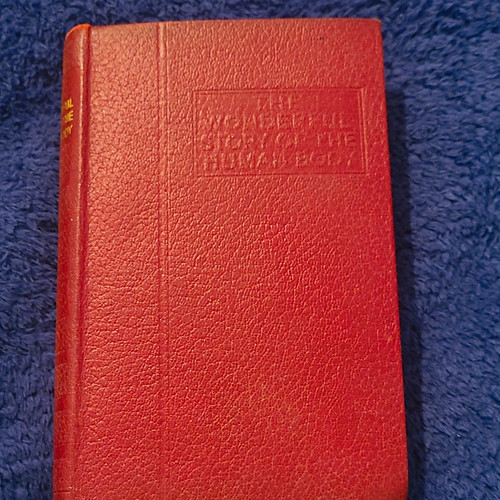 The wonderful story - wonderful, of