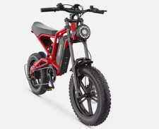 Electric Bike 16Ah Mountain