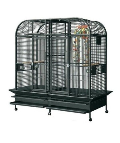 Parrot supplies washington - parrot-supplies,