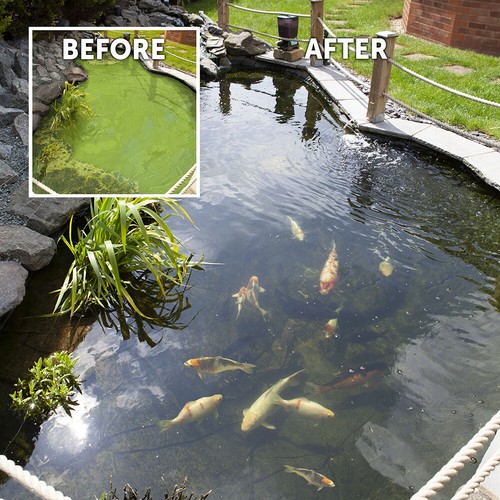 Blooming fast pond clear pro - fast,