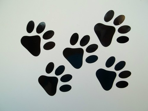 Animal paw print car - x, side