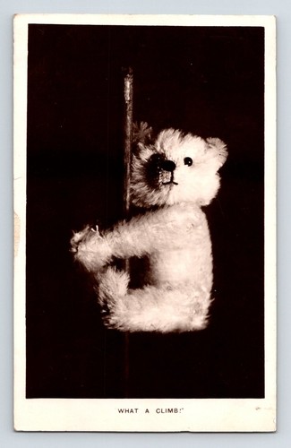 Children teddy bear - teddy, 'what