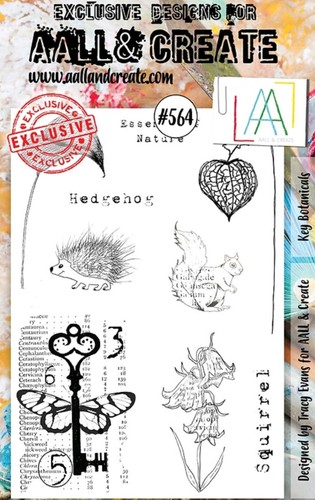 Aall create 564 - aall, #564