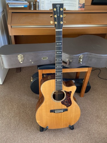 Martin gpcpa1 - martin,