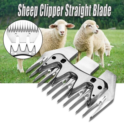 13t straight tooth - straight, comb