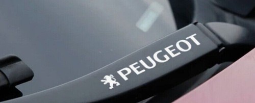 Peugeot wing mirror - wing, window