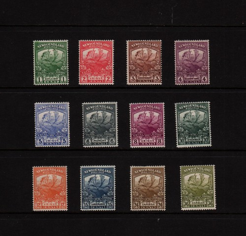 Newfoundland canada 1919 - newfoundland,