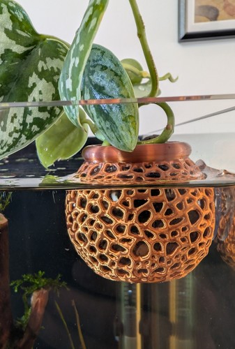 Aquarium plant pot - aquarium, with