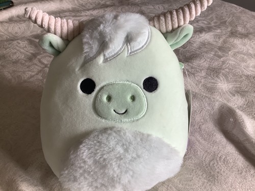 Iver the higland cow - iver,