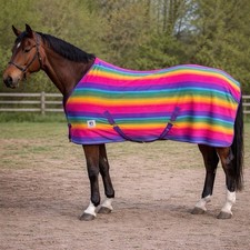 Horse Masters Rainbow Design