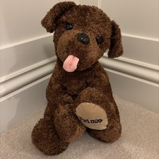 Guide Dog Association Prince