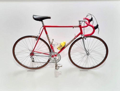 Fangio professional team - team, bike