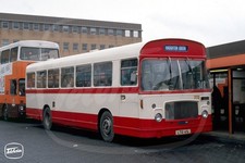 Bus photo pennine blue 773 - photo,