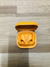 Beats Powerbeats Pro 2 True