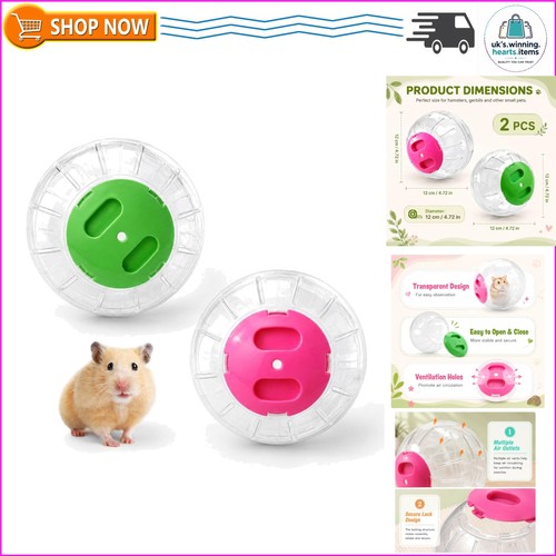 2pcs hamster ball large - hamster,