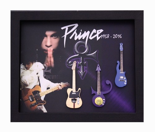 Rgm9045 prince miniature - ,