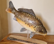 Realistic Carp wooden fish