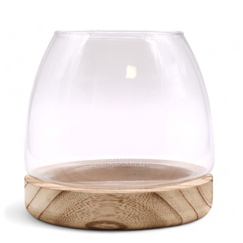 Glass dome cloche - cloche, jar