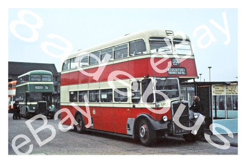 Bus photograph - bus,
