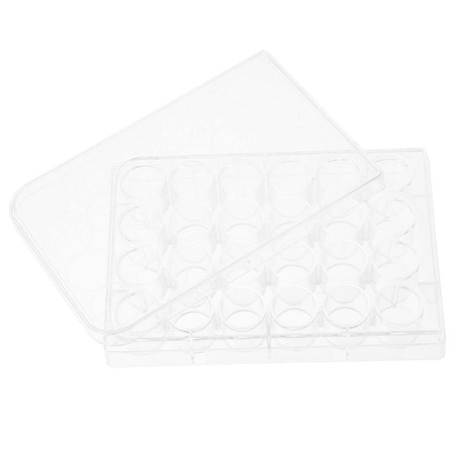 Culture tray for lab tissue - lab,