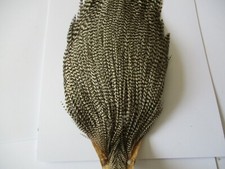 premium cock cape grade 2