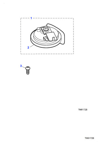 Jaguar horn locking security - jaguar,